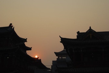 DSC_0803.JPG