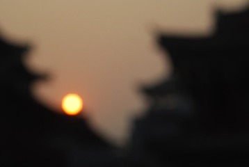 DSC_0805.JPG