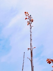 943D81F8-8626-4D30-B596-B344959B002F/L0/001
