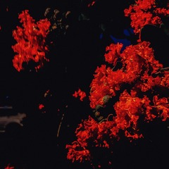 98372B0E-ACC6-4EB2-8505-A2CB84CC4F00/L0/001