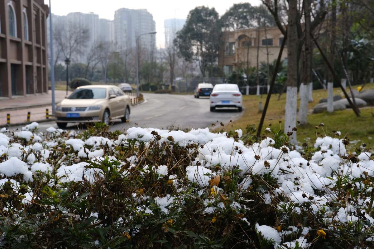 成都2021第一场雪