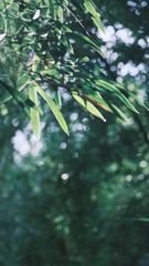 63CABDBE-3D43-4EBB-A5D5-26F7EF4B69E1/L0/001