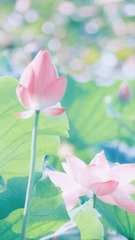 173B8C8D-2968-492B-9A1B-2C1868613FF8/L0/001