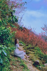 76591F9E-22F7-4C3B-926D-CAD02059BF56/L0/001