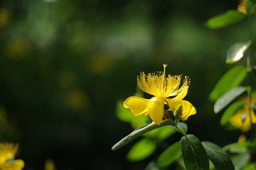 IMGP3821.JPG