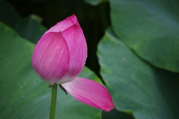 IMGP5015.JPG