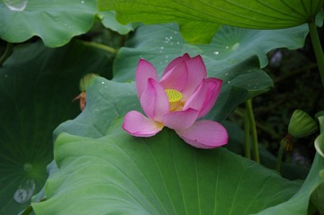 IMGP5023.JPG