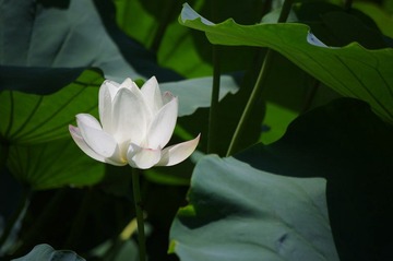 IMGP5428.JPG