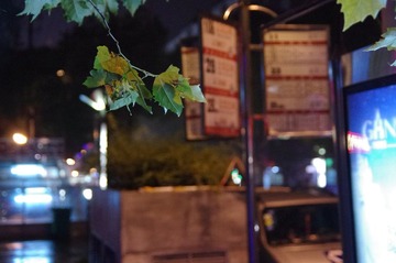 IMGP8892.JPG