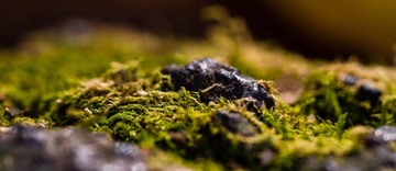 RNI_7964-1.jpg