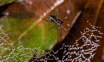 RNI_7982-1.jpg