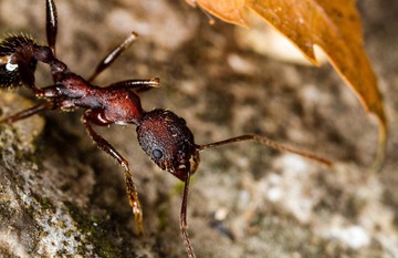 RNI_7988-1.jpg