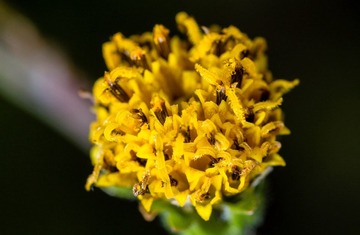 RNI_8034-1.jpg