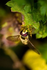 RNI_8044-1.jpg