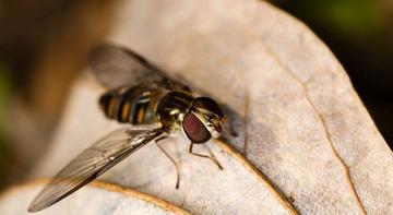 RNI_8064-1.jpg