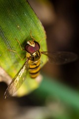 RNI_8132-1.jpg
