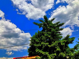 E9099704-728D-4A62-B4C0-261B2B5E138F/L0/001