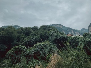 29B99357-15D7-4D5C-9073-C15FEF742966/L0/001