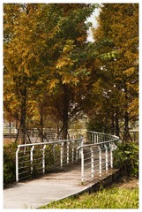 6CB16DBE-87F6-4E9B-9DD5-036E58700F0F/L0/001