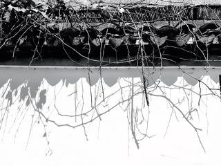 9EFBB48C-B668-4A94-B809-67380FC6E4BB/L0/001