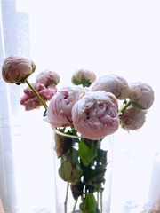 31A0C73E-1F2E-40DF-9708-A7F4E5C13BFC/L0/001