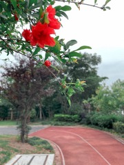 B6041637-3002-4EE1-BE08-E411012C9694/L0/001