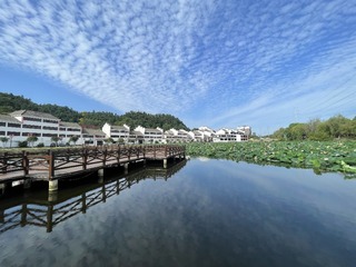 E7D26A8B-AA32-4CF6-89CA-4984556DC354/L0/001