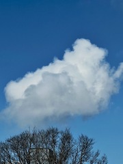 92841F47-26E0-429B-834F-35386E31BFC1/L0/001