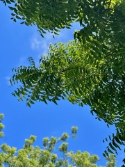 33809149-1778-480C-B877-F0AA0915BD17/L0/001