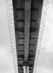 _IMG4622