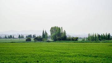 IMGP0002_1