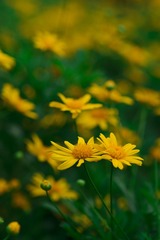 _IMG1647_1