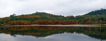 _IMG4015-Pano