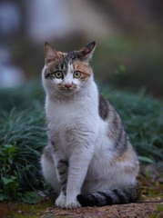 73960