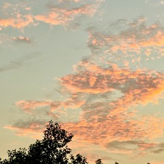 5F666895-C47A-49F5-8174-9D58DFF63D77/L0/001
