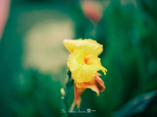 810302EB-F738-4040-A857-78C721B208A4/L0/001