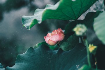 03EB52C3-F230-4663-8BCD-C91B9FD2E882/L0/001