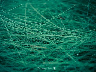 AE1A1FD3-2C5D-42AA-A0C6-F10C093140C9/L0/001