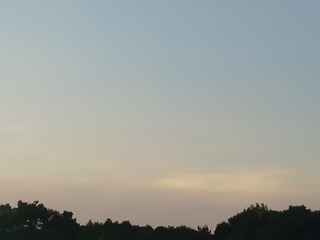 2130119