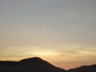 2130120