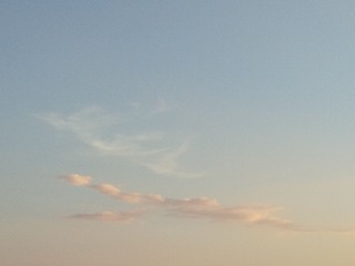 2130118