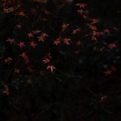5DD92AC8-7DB2-45FA-8C2A-0D38D796C945/L0/001