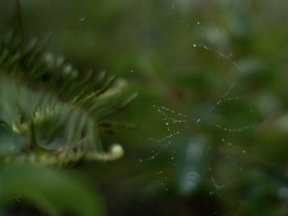 25D893B7-FA73-4A5A-A2BD-02C74D45708F/L0/001
