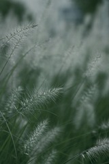 0F42C3DF-8B6C-4A7A-B56D-BF8A8226981A/L0/001