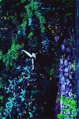 001