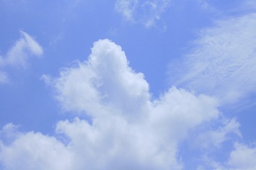 1000025855