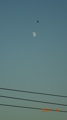762F8BDE-C403-4B56-8361-6C0AEC1915D8/L0/001