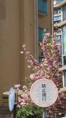 D0E9C40C-5CA6-446D-A696-90549AFC74A6/L0/001