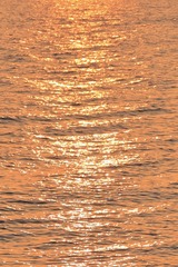 EF916CB4-45DF-4EBD-BD73-6895B41F5BF3/L0/001