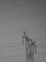 270323
